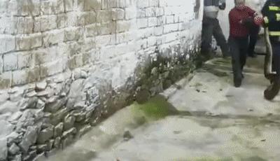 DƬ